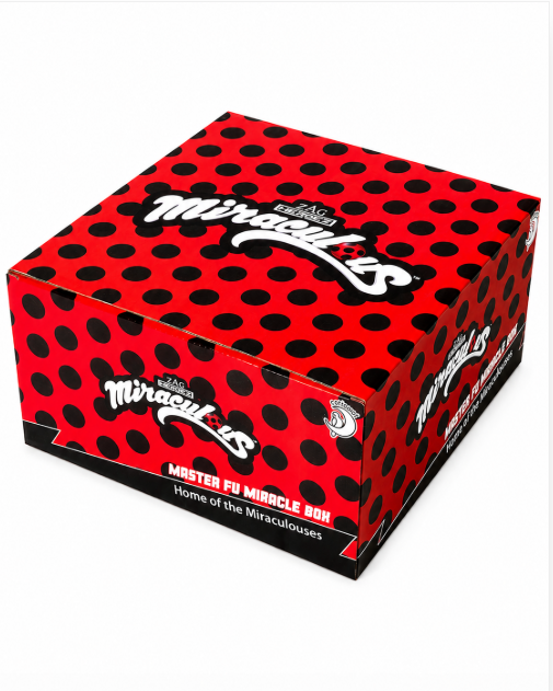 Miraculous Jewelry Box