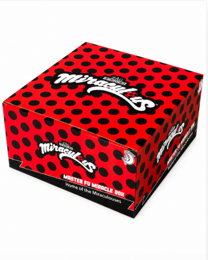 Miraculous Jewelry Box